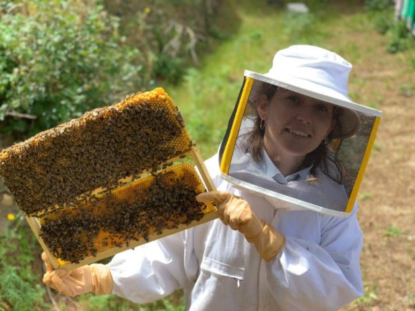 mamma del bosco